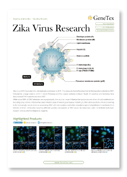 Zika Virus Research