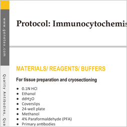 Protocol - ICC/IF