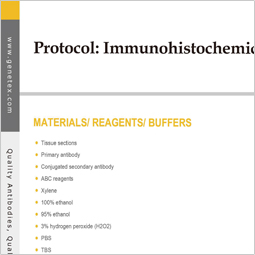 Protocol - IHC (paraffin)