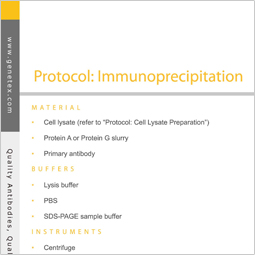 Protocol - Immunoprecipitation