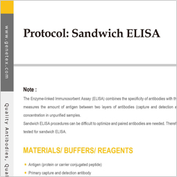 Protocol - ELISA (sandwich)