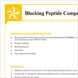 Protocol - Blocking Peptide Competition
