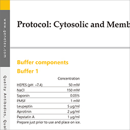 Protocol - Cytosolic and Membrane Fractionation
