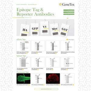 Epitope Tag & Reporter Antibodies