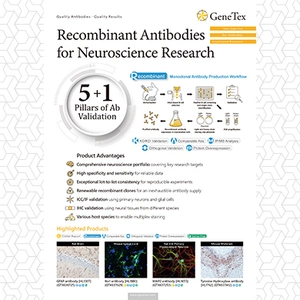 Recombinant antibodies for Neuroscience research