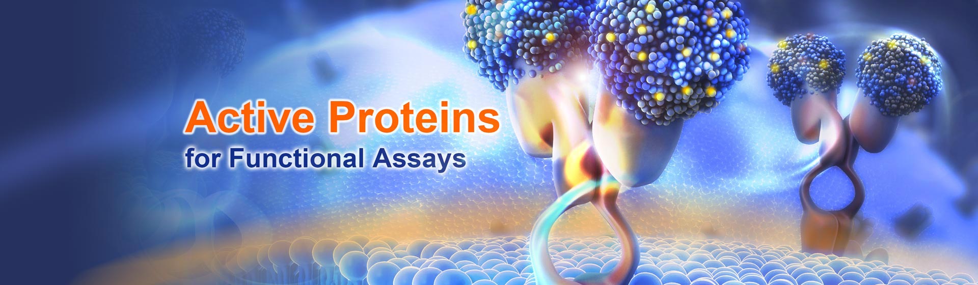 Active Proteins for Functional Assays