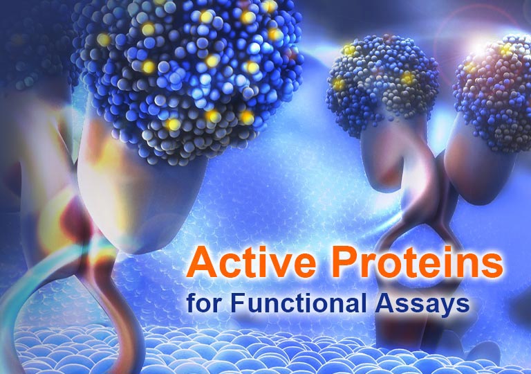 Active Proteins for Functional Assays