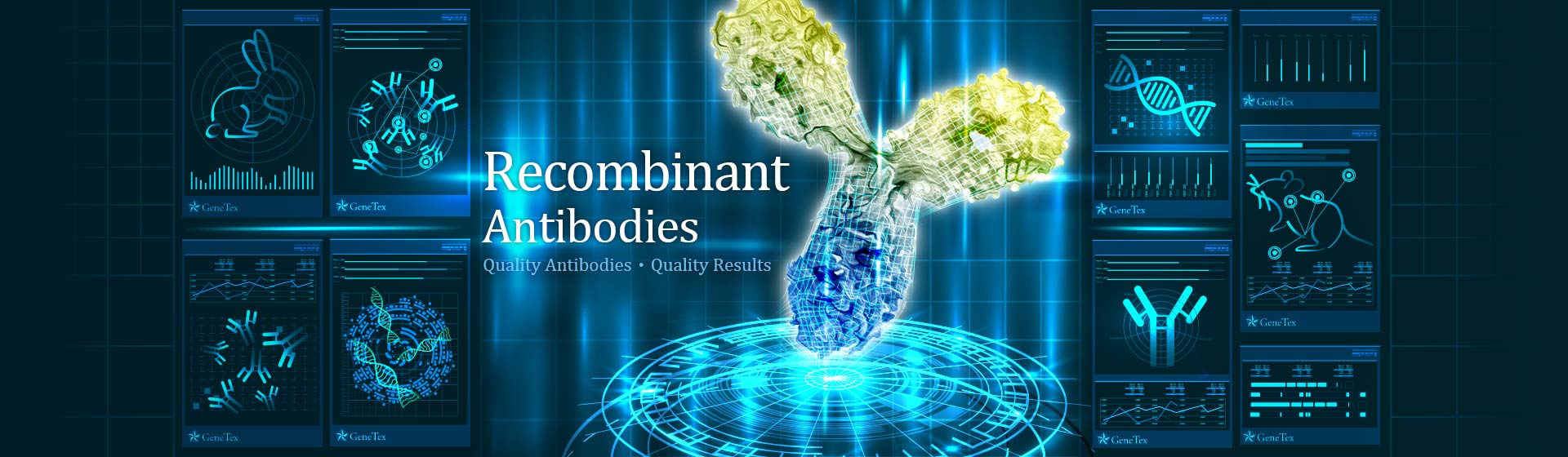 Recombinant Antibodies