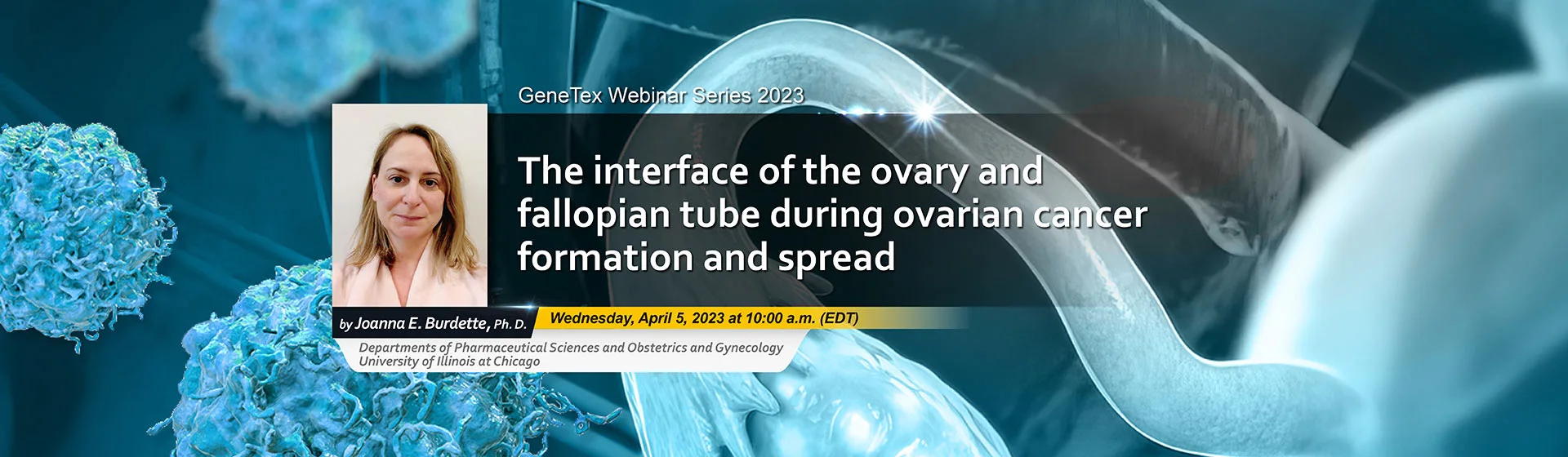GeneTex Webinar: The interface of the ovary and fallopian tube during ovarian cancer formation and spread