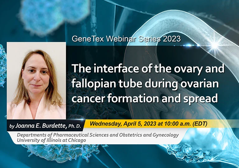 GeneTex Webinar: The interface of the ovary and fallopian tube during ovarian cancer formation and spread
