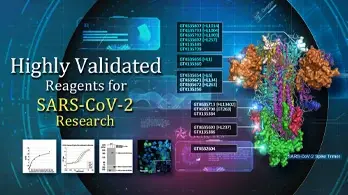 SARS-CoV-2 (COVID-19) Antibodies and Reagents