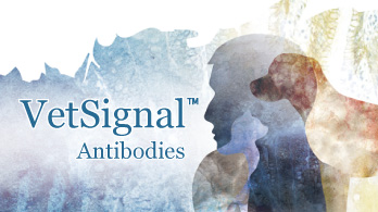 VetSignal