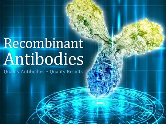 GeneTex Recombinant Antibody Protocol