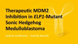 Therapeutic MDM2 Inhibition in ELP1-Mutant Sonic Hedgehog Medulloblastoma