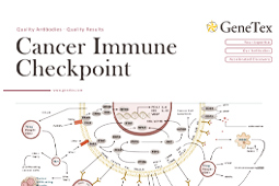 Cancer Immune Checkpoint