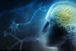 SARM1 Inhibition: A Master Stroke Against Neurodegenerative Disease?