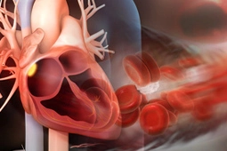 Article Alert: Visinin-like 1 (Vsnl1) is a potential marker of the sinoatrial node