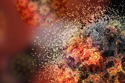 Article Alert: A Mechanistic Basis for Heat Therapy Against HPV Malignancies
