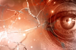 Article Alert: A Step Closer to hPSC-based Therapies for Retinal Degenerative Disease