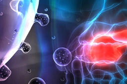 Single-Extracellular Vesicle Analysis (sEVA) to Detect Early Pancreatic Cancer