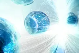 GeneTex's KO-Validated CD44 Recombinant Monoclonal Antibody