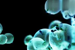 Article Alert: Extracellular Vesicles as Pathogenic Enveloped Virus Vaccines