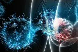 Compartment-Specific or Shared Oncogenic Drivers Underlie Primary and Metastatic Breast Cancer