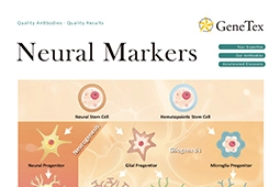 Neural Markers