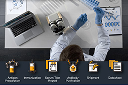 Download the latest version of GeneTex's Custom Antibody Services flyer.