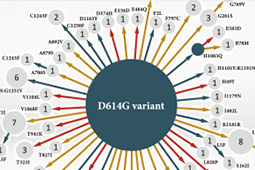 SARS-CoV-2 (COVID-19) Spike Variant Recombinant Proteins