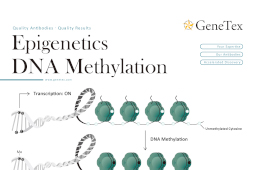 Epigenetics DNA Methylation
