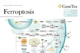 Flyer-Ferroptosis