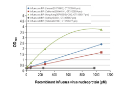 Influenza A and B Virus Recombinant Monoclonal Antibodies