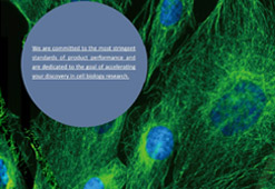 Organelle Markers