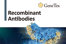 Brochure - Recombinant Antibodies