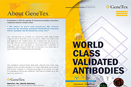 World Class Validated Antibodies