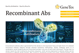 Download the latest version of GeneTex's Recombinant antibodies flyer.