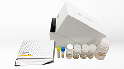GeneTex SARS-CoV-2 (COVID-19) Nucleocapsid Protein Sandwich ELISA Kit