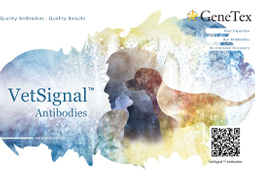 VetSignal Antibodies