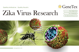 Download the latest version of GeneTex's Zika Virus Research flyer.
