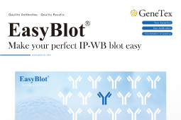 Easy Blot