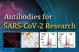 IHC- and FCM-validated Antibodies for SARS-CoV-2 Research