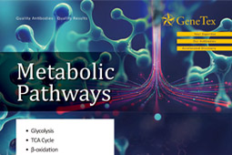 Metabolic Pathways