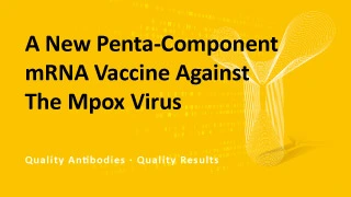 A New Penta-Component mRNA Vaccine Against The Mpox Virus