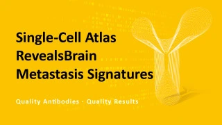 Single-Cell Atlas Reveals Brain Metastasis Signatures
