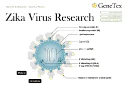 Download the latest version of GeneTex's Zika Virus Research flyer.