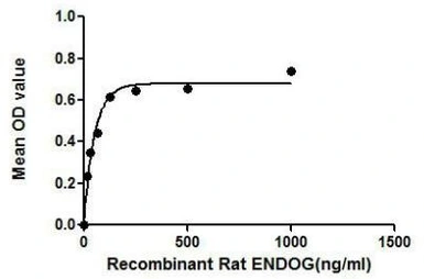 Rat EndoG protein, His and GST tag. GTX00057-pro