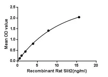 Rat SLIT2 protein, His tag. GTX00062-pro