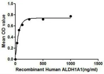 Human ALDH1A1 protein, His tag. GTX00155-pro