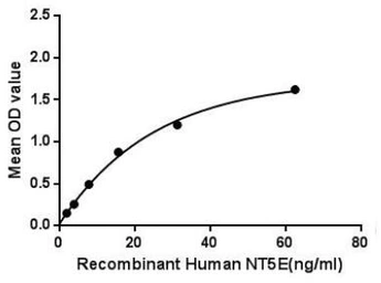 Human CD73 protein, His tag. GTX00159-pro